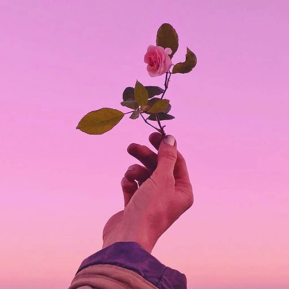 Meet your Posher, Aedyn - Picture 1 of 1